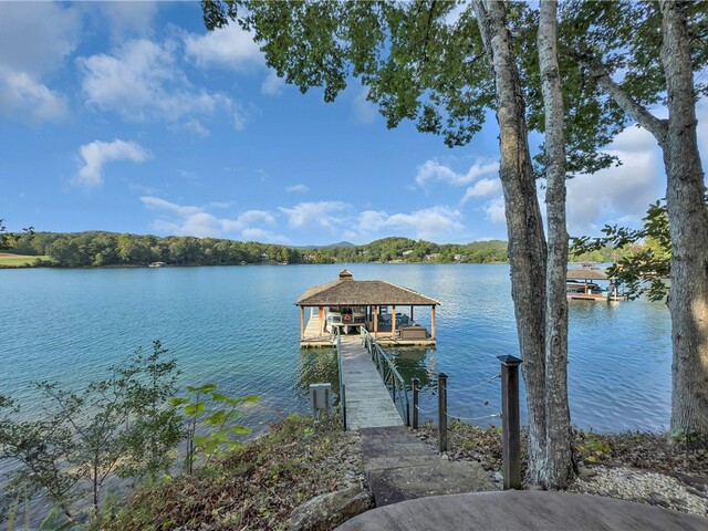 Photo of 422 Pileated Woodpecker