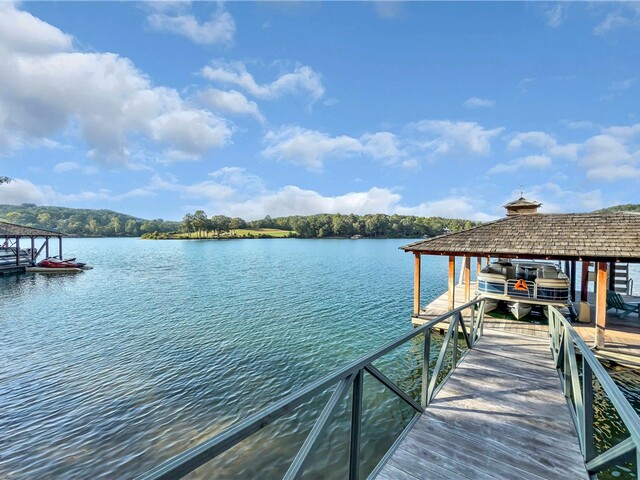 Photo of 422 Pileated Woodpecker