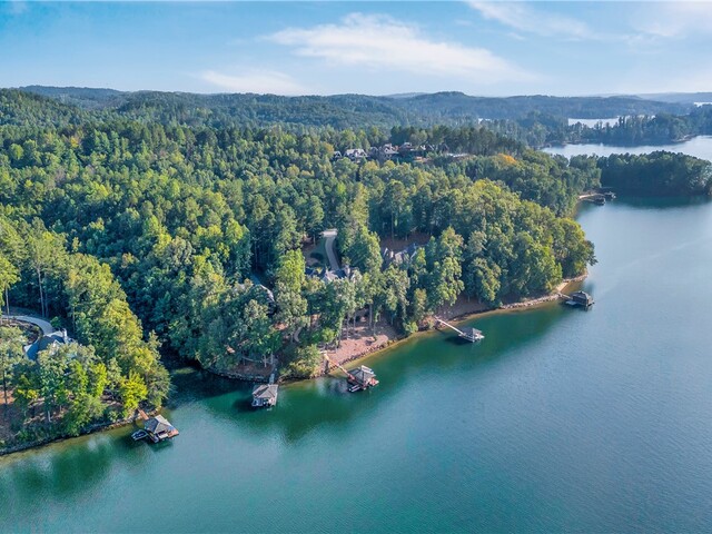 Photo of 422 Pileated Woodpecker