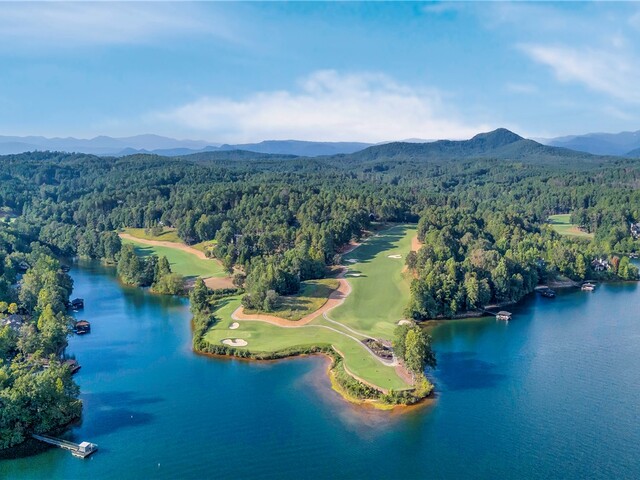 Photo of 422 Pileated Woodpecker