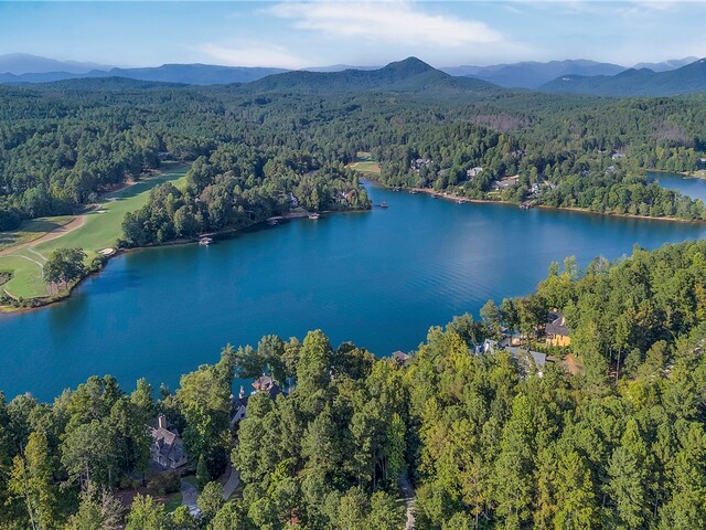 Photo of 422 Pileated Woodpecker