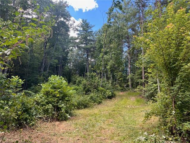 Photo of 00 Chattooga Ridge Road