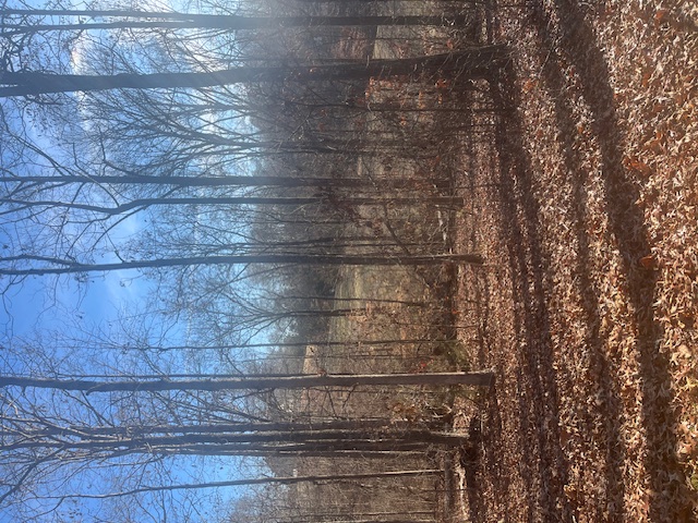 Photo of 109 Falls Drive