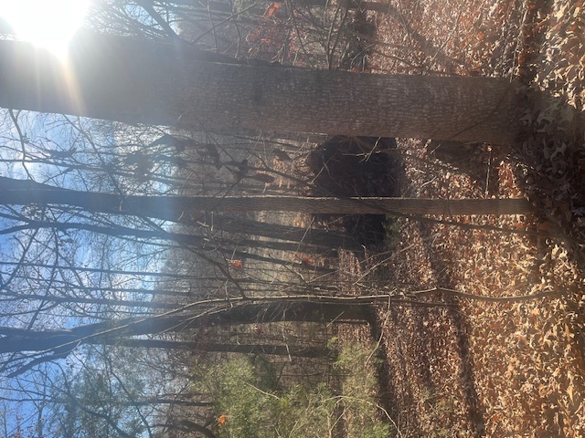 Photo of 109 Falls Drive