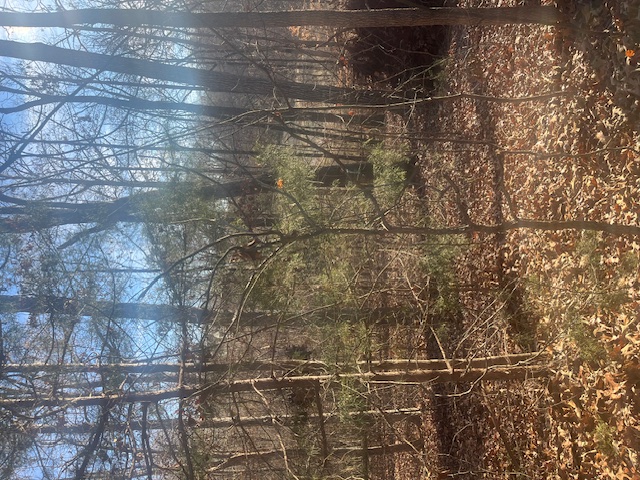 Photo of 109 Falls Drive