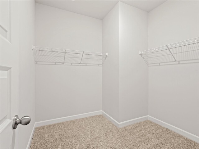 Photo of 217 Merriweather Way