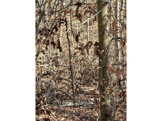 Photo of 00 Sutton Cove Court