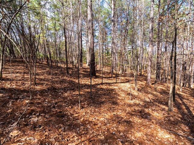 Photo of 105 Hawks Bay Court