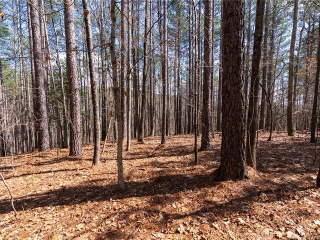 Photo of 105 Hawks Bay Court