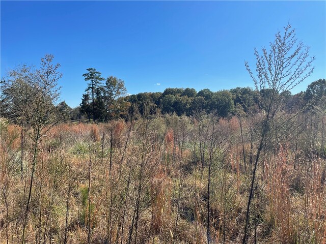 Photo of 0 Davis Bridge Road