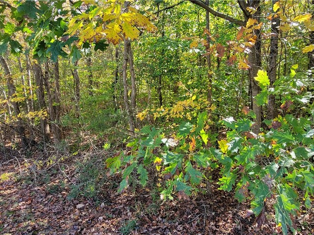 Photo of 00 S Hogan Drive