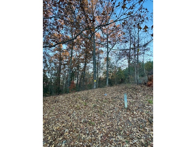 Photo of 132 Sweetwater View Road