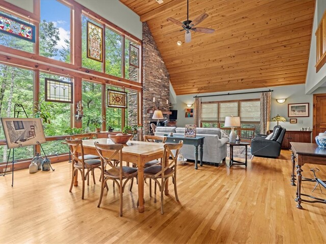 Photo of 205 Pitcher Plant Lane