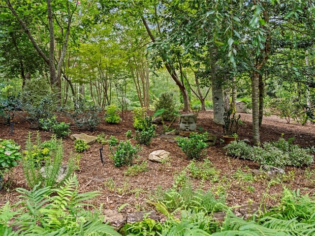 Photo of 205 Pitcher Plant Lane