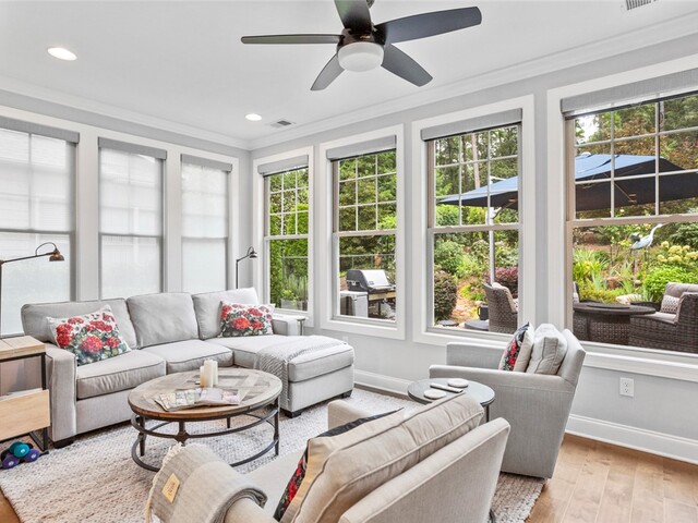 Photo of 241 Night Cap Lane