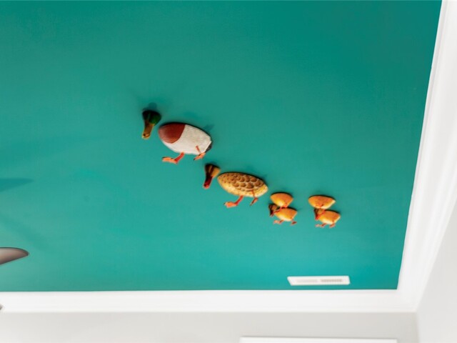 Photo of 241 Night Cap Lane