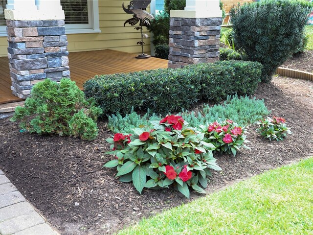 Photo of 30 Rowley Street