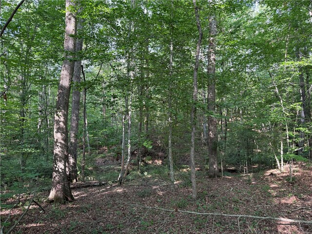 Photo of 0 Lakeside Drive