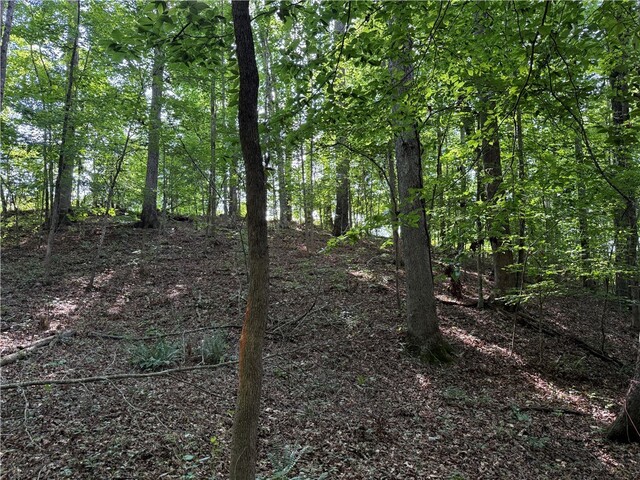 Photo of 0 Lakeside Drive