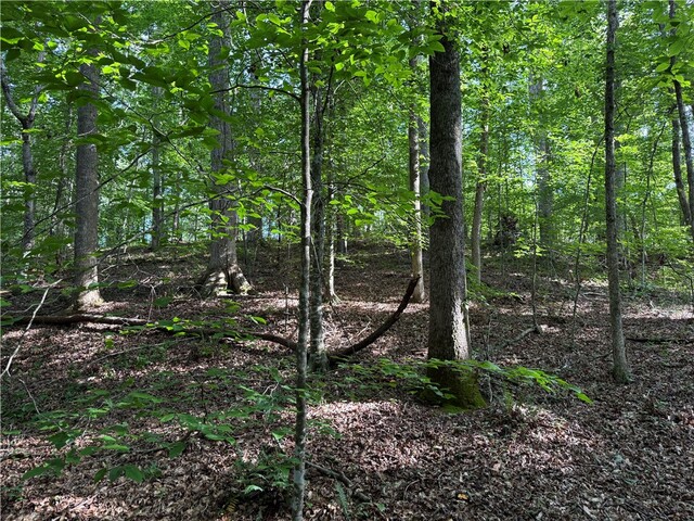 Photo of 0 Lakeside Drive