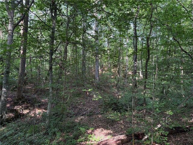 Photo of 0 Lakeside Drive