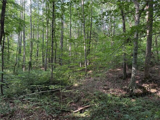 Photo of 0 Lakeside Drive