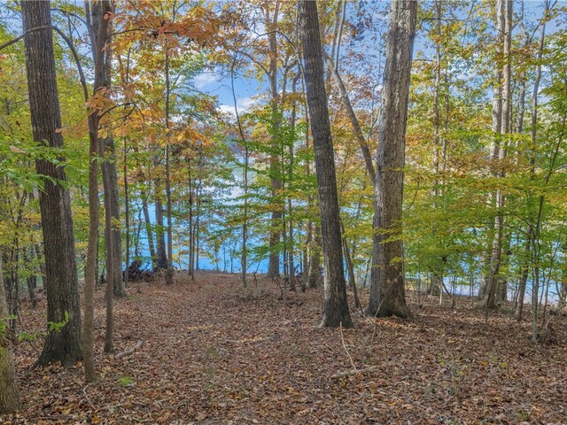 Photo of 0 Oak Shore Court