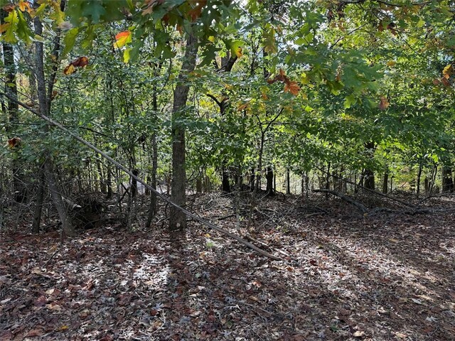 Photo of 0 Oak Shore Court