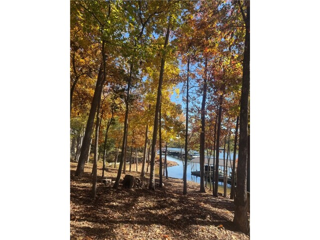 Photo of 1031 George Smith Mill Road