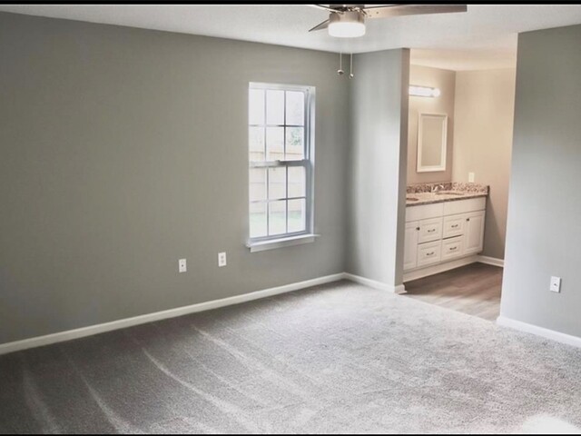 Photo of 1101 Ravenswood Drive