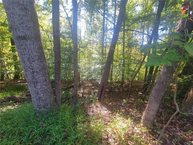 Photo of Lot 227 Boxwood Lane