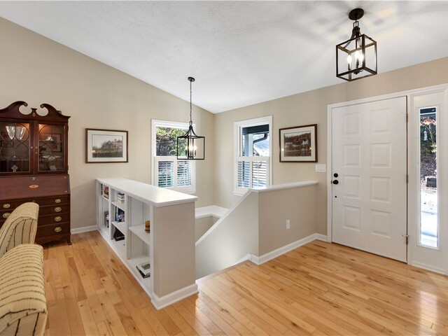 Photo of 4 Cats Paw Court