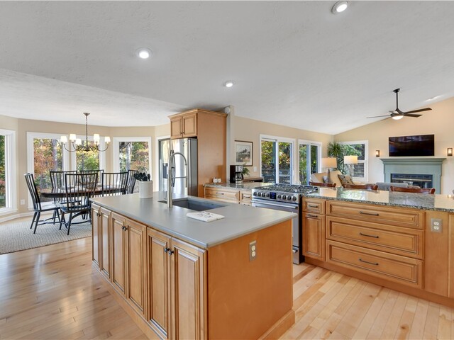 Photo of 4 Cats Paw Court