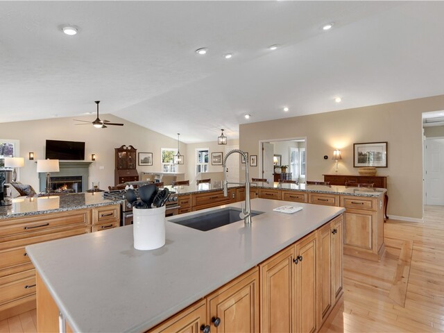 Photo of 4 Cats Paw Court