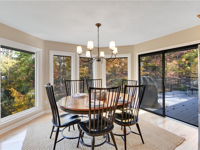 Photo of 4 Cats Paw Court