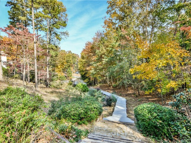 Photo of 4 Cats Paw Court