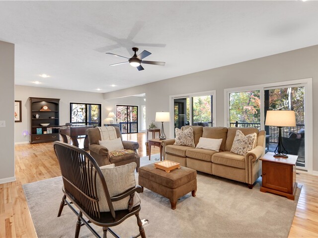 Photo of 4 Cats Paw Court