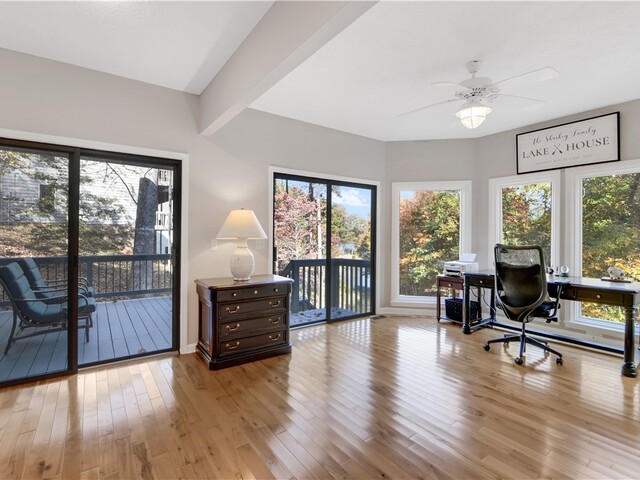 Photo of 4 Cats Paw Court