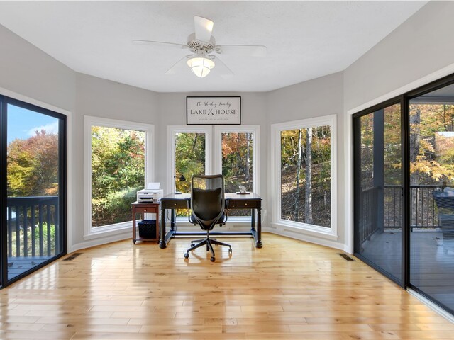 Photo of 4 Cats Paw Court