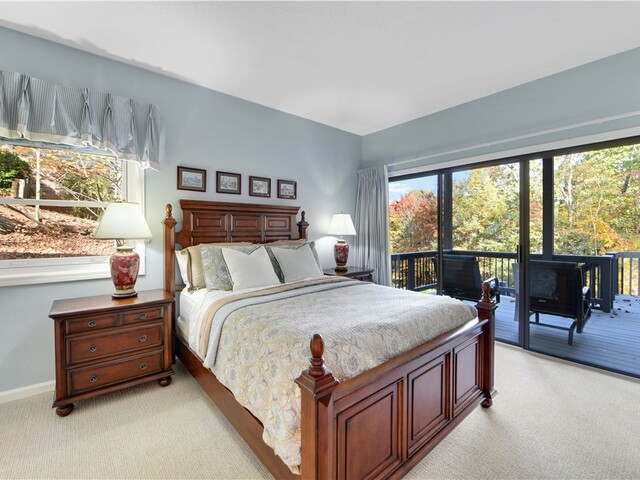 Photo of 4 Cats Paw Court