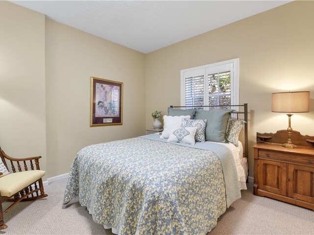 Photo of 4 Cats Paw Court