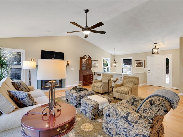 Photo of 4 Cats Paw Court