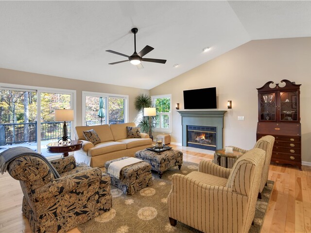 Photo of 4 Cats Paw Court