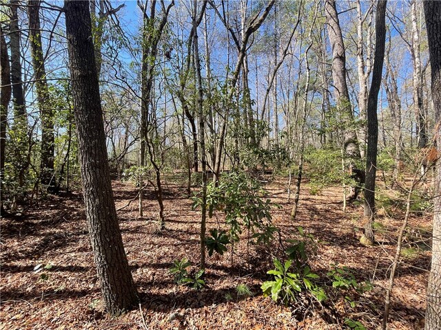 Photo of 00 Mountain Rest Lake Road