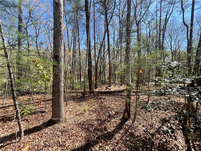 Photo of 00 Mountain Rest Lake Road