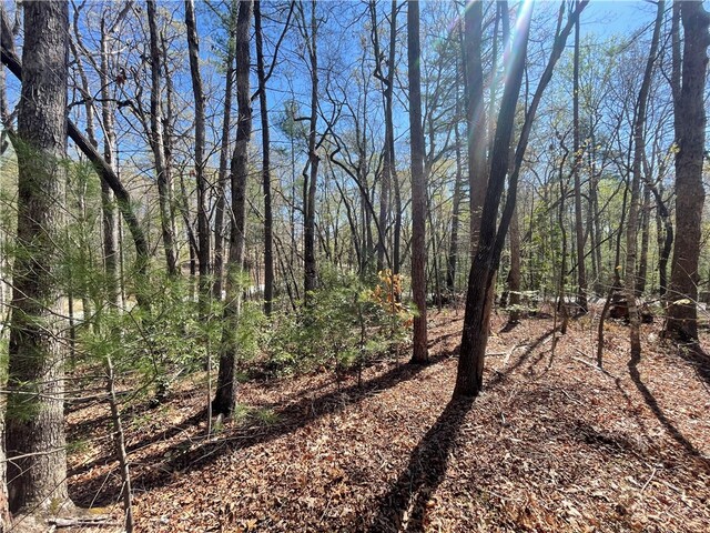 Photo of 00 Mountain Rest Lake Road