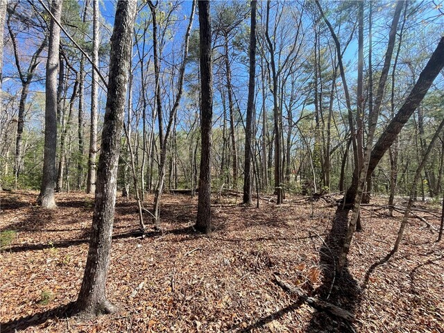 Photo of 00 Mountain Rest Lake Road