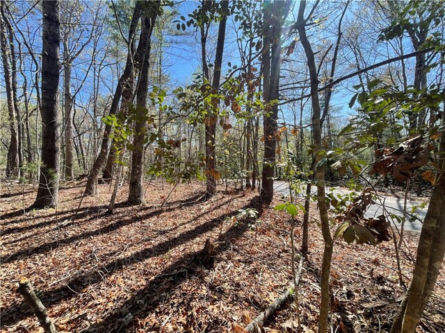 Photo of 00 Mountain Rest Lake Road