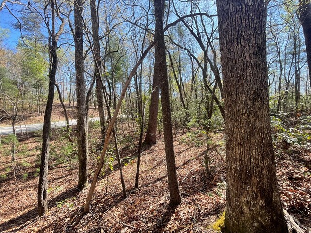 Photo of 00 Mountain Rest Lake Road