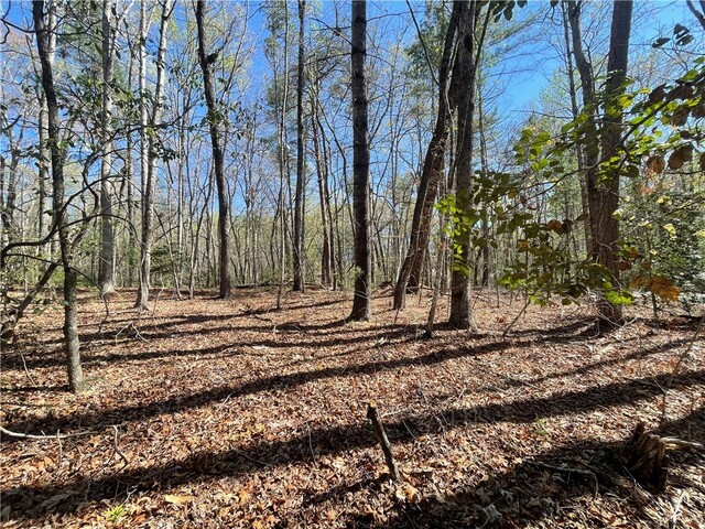 Photo of 00 Mountain Rest Lake Road